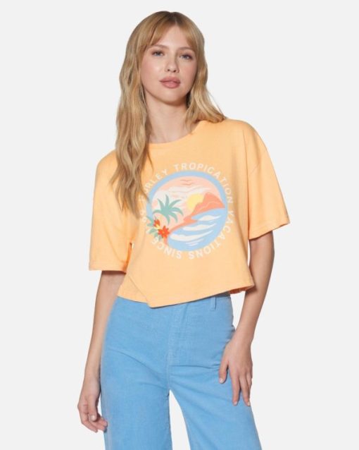 Sundayfit.shop62e0f56091 1